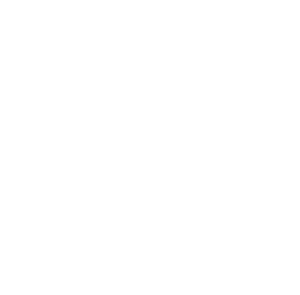 LIFE FEST
